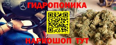 винт Краснодар
