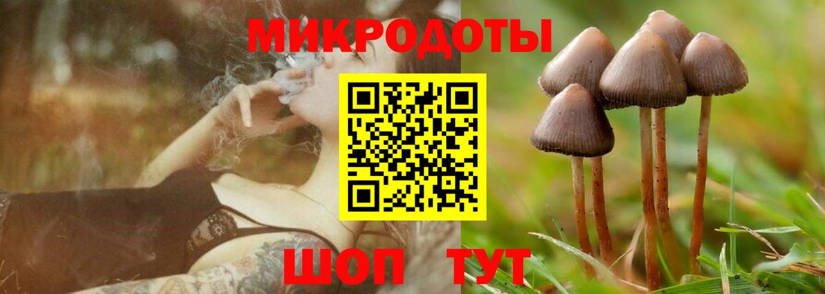 наркотики  Вход с VPN  Губаха  Галлюциногенные грибы MAGIC MUSHROOMS  Галлюциногенные грибы Magic Shrooms 